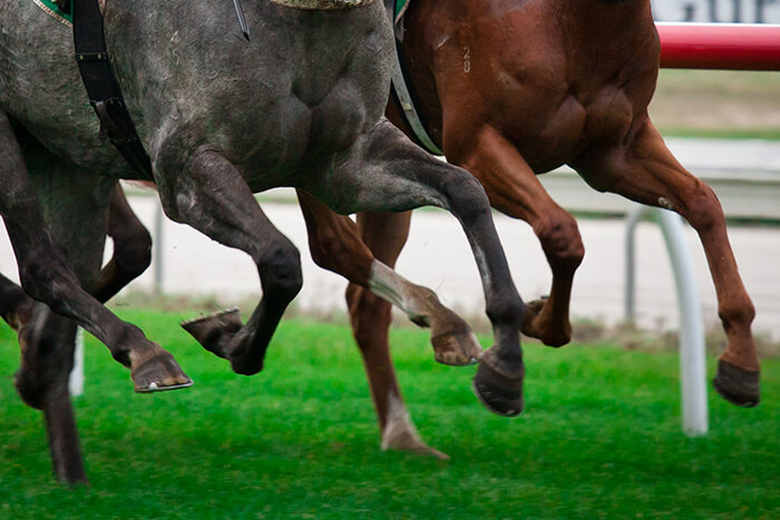 Horse Racing